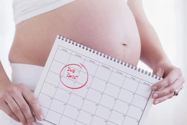 Due Date Calculator