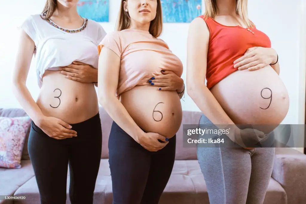 Pregnancy week by week